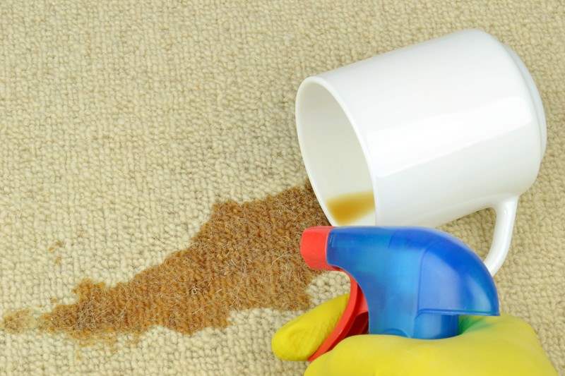 DIY or Professional Carpet Cleaning