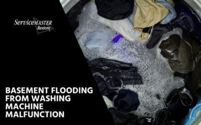 Get Help for Basement Flooding from a Washing Machine Leak