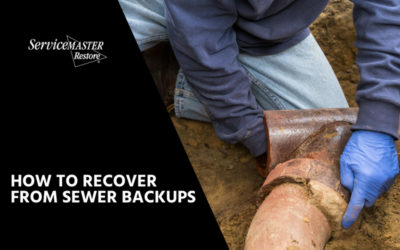 Is a Sewer Backup Destroying Your Business?