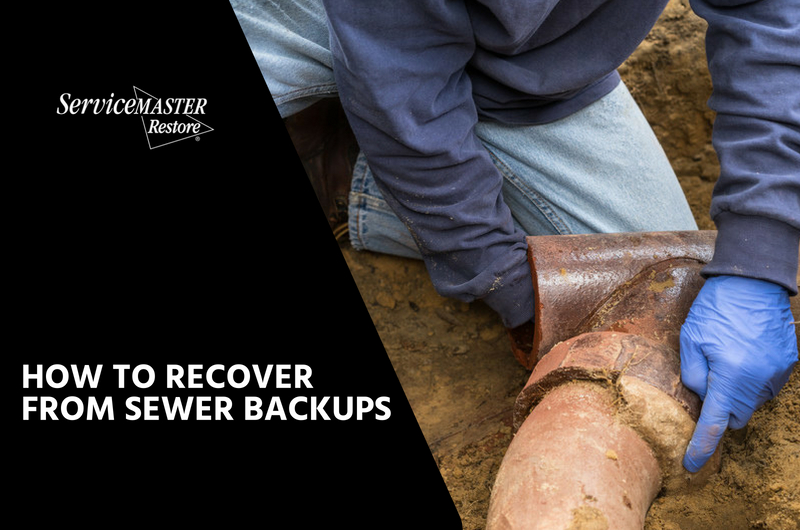 How to recover from sewer backups
