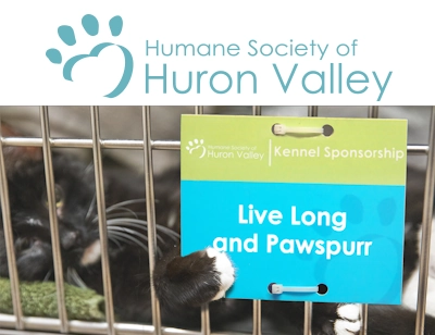 graphic showing cat in a kennel cage